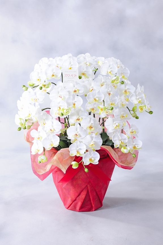 <p>同規格（サイズ）の生花に比べ割安なのも購入するメリットと言えます。</p>